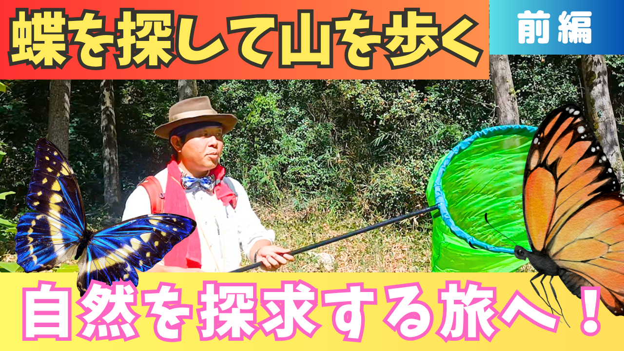 《前編》＜奈良県＞蝶を探す旅！蝶の痕跡から自然を読む